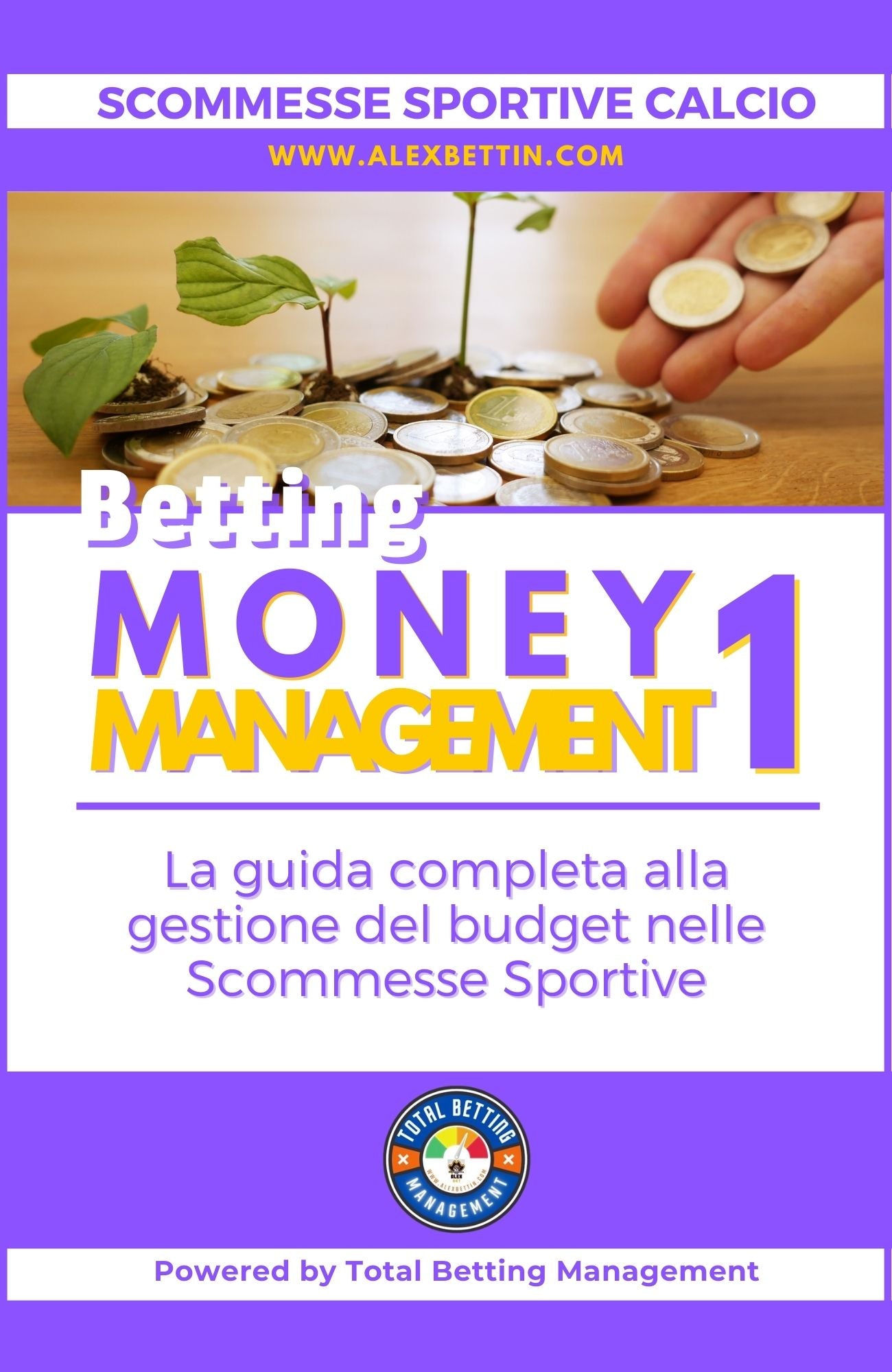 Betting Football Soccer: Betting Money Management Vol 1